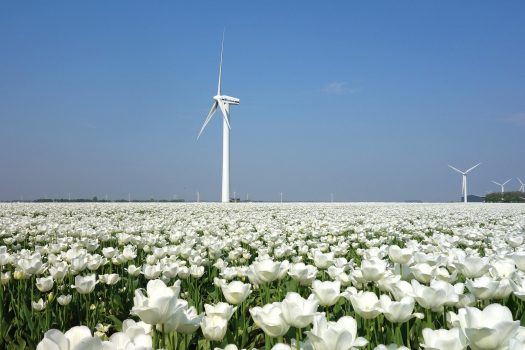 Energieregio’s passen zoekgebieden zon- en windenergie aan