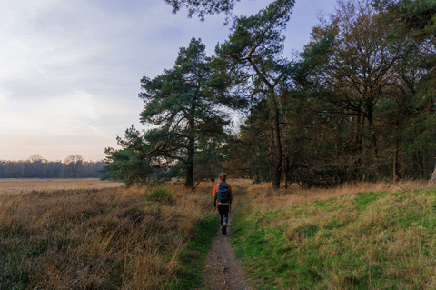 Nivon lanceert unieke hike & night trektochten om compleet offline in de Nederlandse natuur te zijn