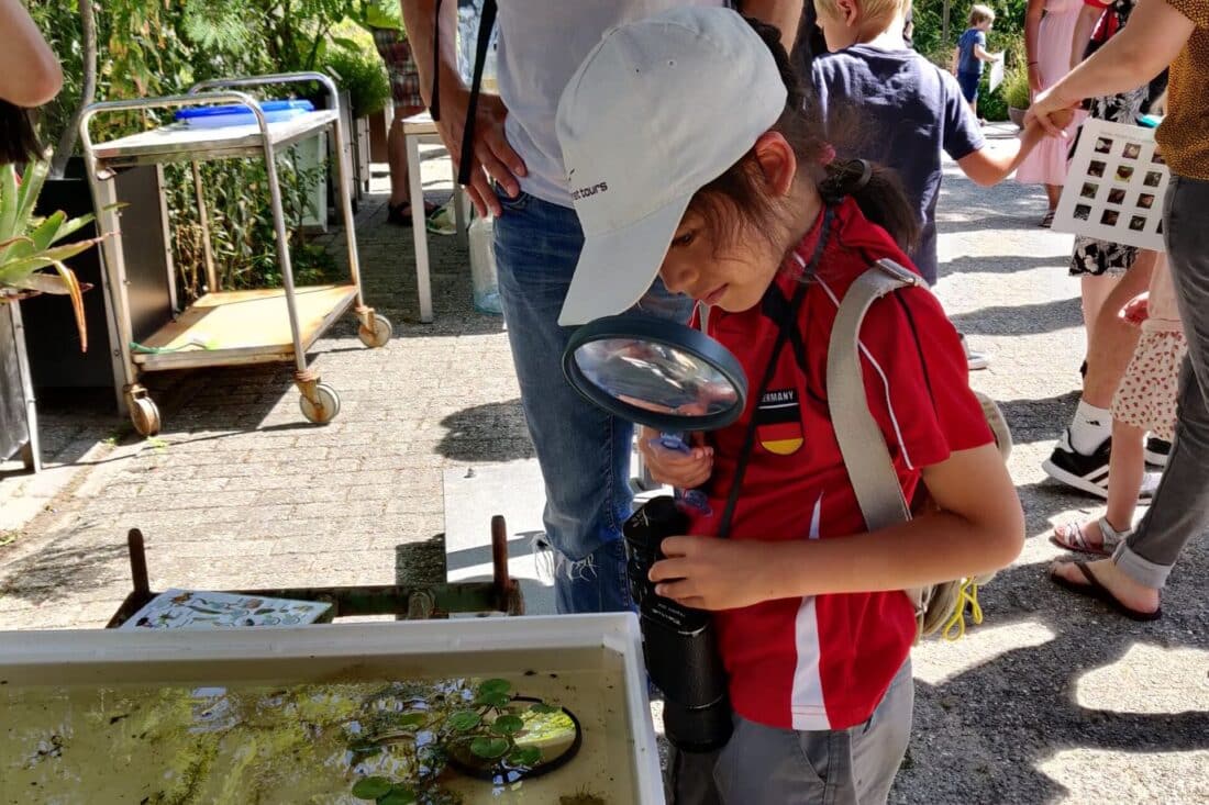 Beestjesdag in Hortus Alkmaar